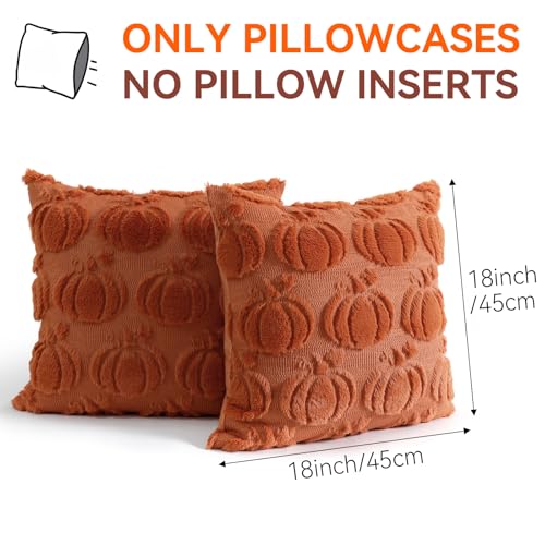 Rust Fall Pumpkin Throw Pillow Covers 18x18 Inch Set of 2 - Autumn Home Decor