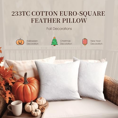 Set of 2 Square Feather Down Decorative Throw Pillows - Halloween & Christmas Customizable Home Decor