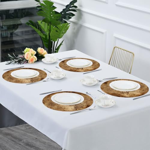 Round Placemat Set of 6 with World Map Design - Heat Resistant & Washable
