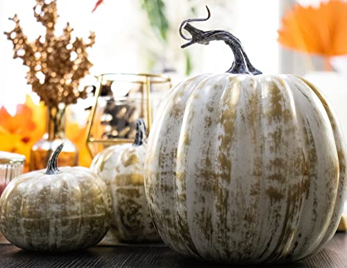 Gold Pumpkins Set of 12 with White Brush - Fall Thanksgiving Decor for Home & Outdoor