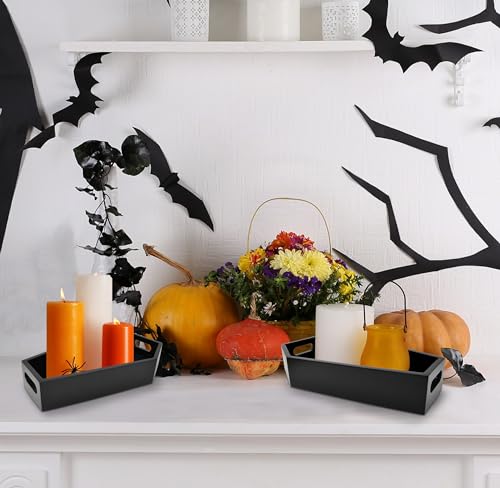 Halloween Coffin Serving Trays Set of 2 Black Wood Gothic Decor
