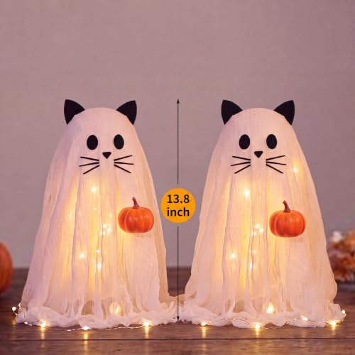 Halloween Ghost Cat Light Set with DIY Crafts & Decorations - Variation of Ghost Cat