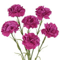 Artificial Carnations Flowers Set - Real Touch Long Stems 20'' Rose Red - Wedding & Home Decor