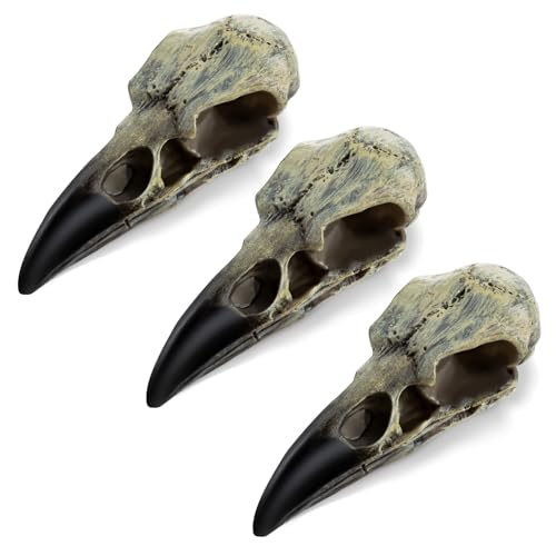 3 Pack Gothic Raven Skull Necklaces Halloween Skull Pendant Jewelry
