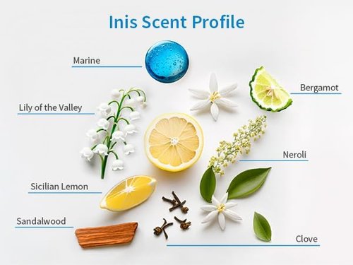 Inis - Energy of the Sea Home Fragrance Refresher Oil | Invigorating Scent, 0.6 Fl Oz