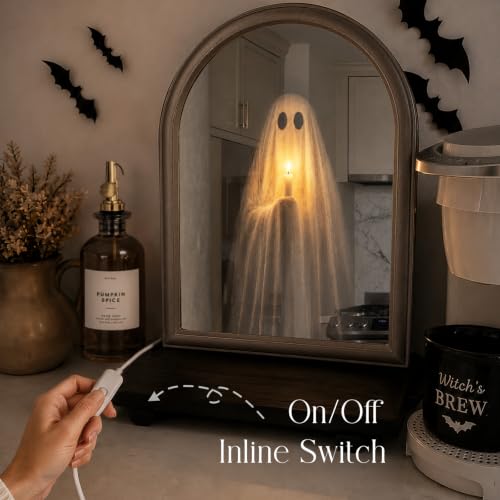Light Up Ghost Mirror Halloween Decor 11 x 13.8 Inch Tabletop Display