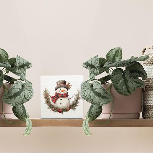Snowman Wooden Box Sign - Rustic Christmas Holiday Decor - Snowman-06 Variation