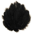 50pcs Black Pheasant Feathers for Crafts, Hats, Decorations & Costumes - Variation of THIS listing