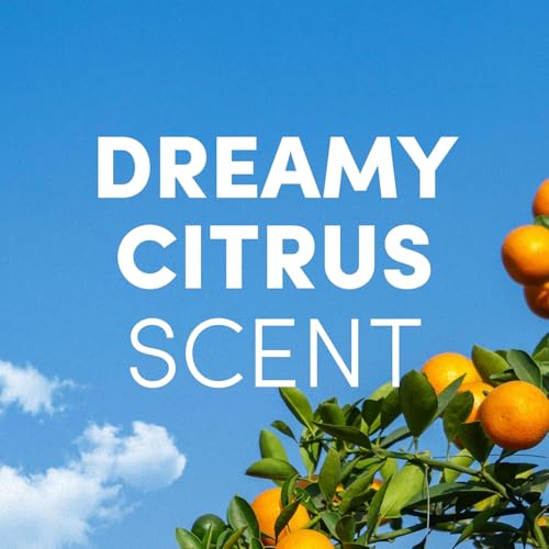 Foaming Hand Soap Refill with Essential Oils - Dreamy Citrus, 14 oz, Pack of 4