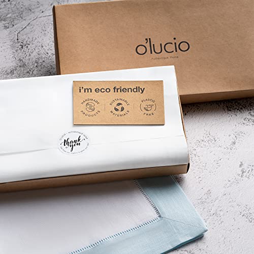 Linen Napkins Set of 4 20x20 Inch White & Light Blue Hemstitch | Flax Linen