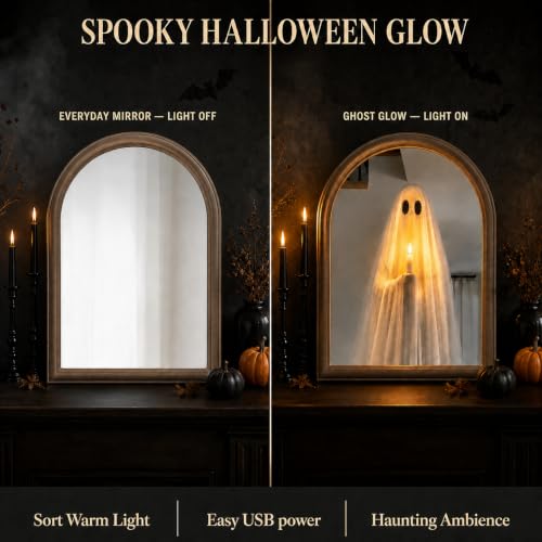 Light Up Ghost Mirror Halloween Decor Wall Mirror 11x13.8 in Indoor
