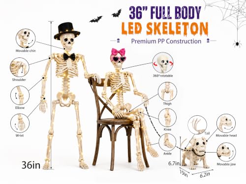 Lighted Halloween Skeleton Family Set - 36 Inch Spooky Yard Decor with Dog & Accessories
