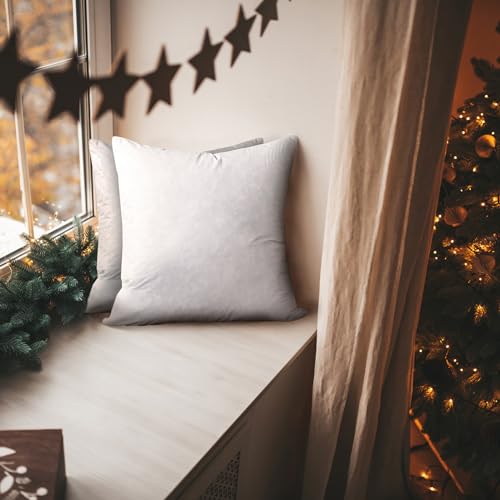 Euro Throw Pillow Set 2 Pack - 26x26 Inch Medium Firm Cotton Cushions