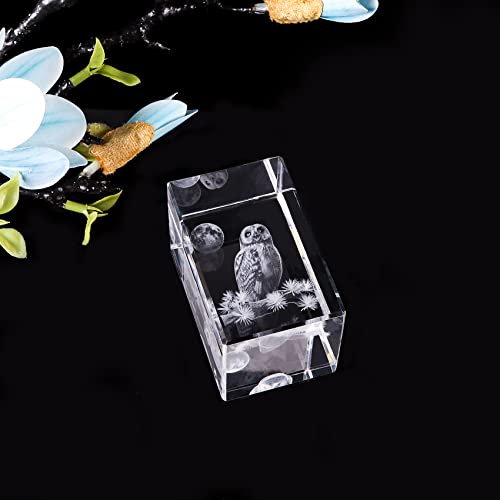 Owl Crystal Figurine with LED Light Base - 3D Laser Engraved Keepsake Gift - Variation: Owl