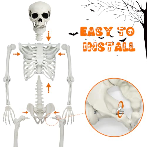 5.4ft Halloween Full Size Skeleton with Dog and Cat — Haunted Party Decor