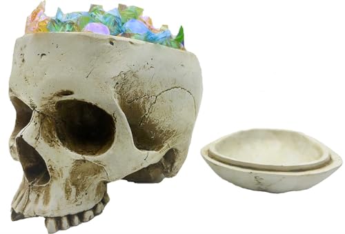 Large Human Skull Candy Dish with Lid - Halloween Skull Decor Sculpture
