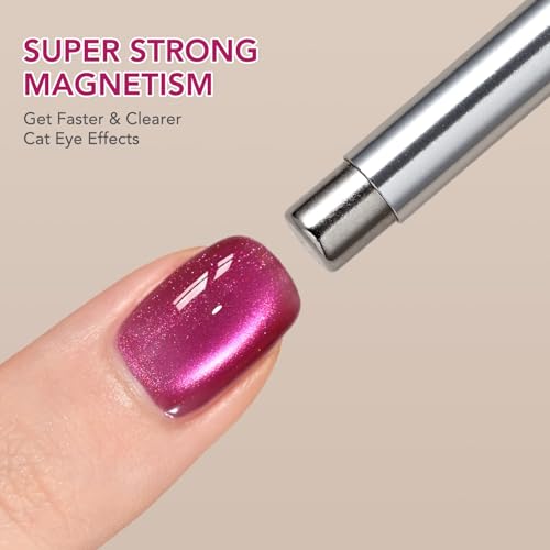 GAOY 3-in-1 Cat Eye Nail Magnet Set - Silver, Cylindrical & Ball Tips