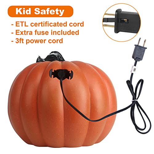 9-Inch Jack O Lantern Halloween Pumpkin Lantern Lighted Decor - Indoor/Outdoor, LED Bulb, Weather-Resistant, Shatterproof, Family Safe, Variation of Skull