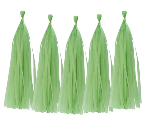 Colorful Tissue Paper Tassel Garland - Light Green 25 Pcs Party Decor