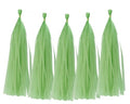 Colorful Tissue Paper Tassel Garland - Light Green 25 Pcs Party Decor