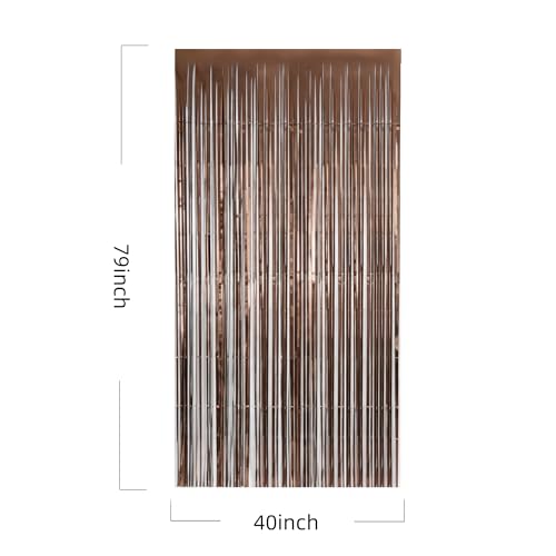 Foil Fringe Curtain 2 Pack - Metallic Party Backdrop for Weddings Birthdays