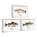 Fish Wall Art Canvas Prints 12x16 Inches - Rustic Bass Fish Decor 3-Piece