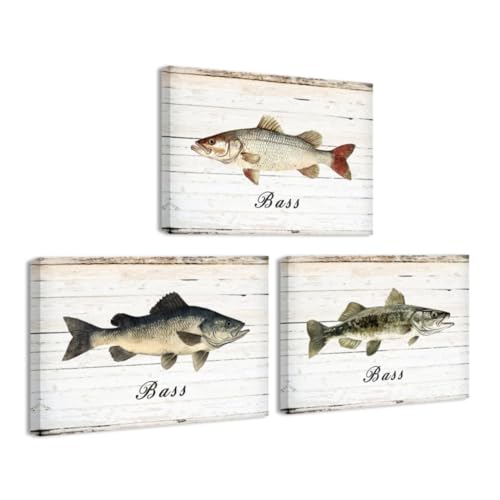 Fish Wall Art Canvas Prints 12x16 Inches - Rustic Bass Fish Decor 3-Piece