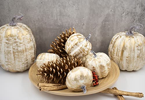 Gold Pumpkins Set of 12 with White Brush - Fall Thanksgiving Decor for Home & Outdoor