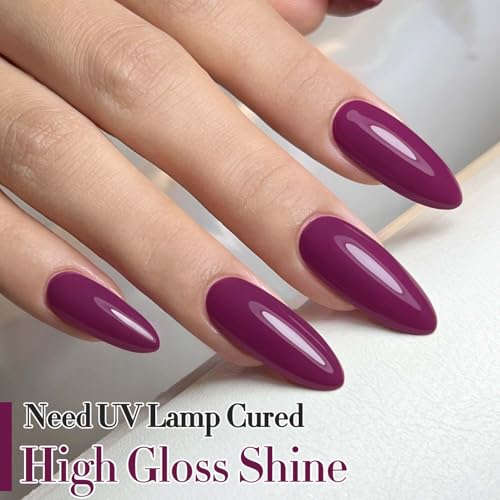 Double Rhythm 0.5oz Purple Gel Polish - Same Color, 15ml Soak Off Nail Lacquer