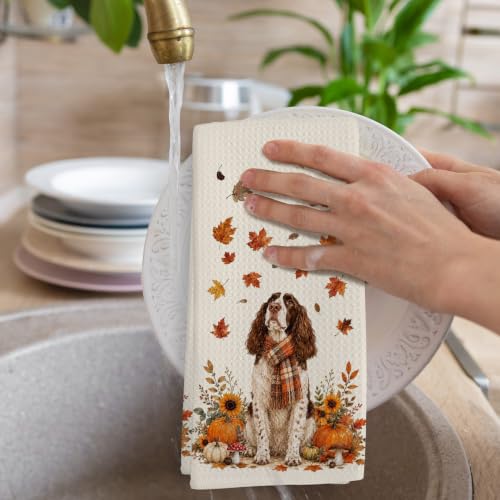 Springer Spaniel Kitchen Hand Towels - Funny Fall Dog Gift