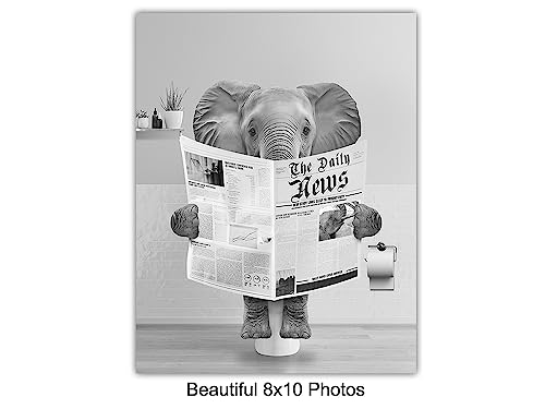 Funny Animal Bathroom Wall Art 8x10 Unframed Toilet Decor