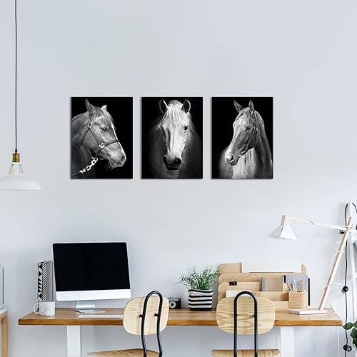 Black White Horse Canvas Wall Art Set - 12x16 Inch Modern Horse Portraits