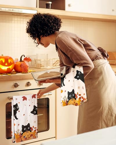 Miss Adola Fall Kitchen Towels Set of 2 - Pumpkin Cats Design
