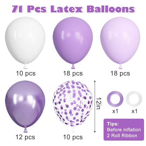 Lavender Purple Balloon Set - 71pcs Latex Party Balloons with Ribbons & Arch Strip