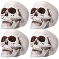 Sratte 4.3 Inch Halloween Plastic Human Skull Decorations - Realistic Fake Head Bones (Set of 4)