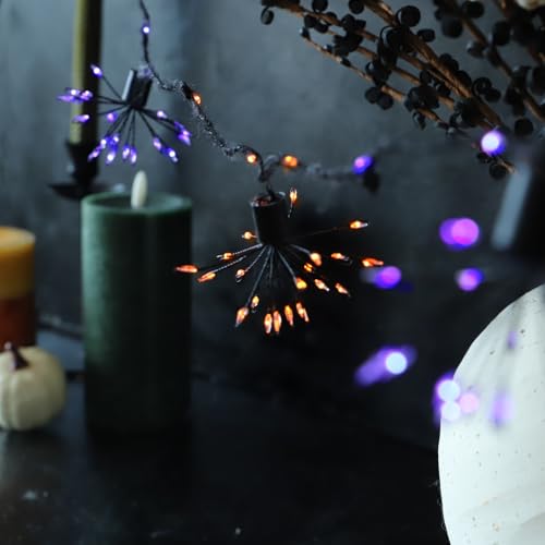 Halloween Fairy Lights 10FT 200LED Orange & Purple Firework Clusters with Remote - Sunset Home