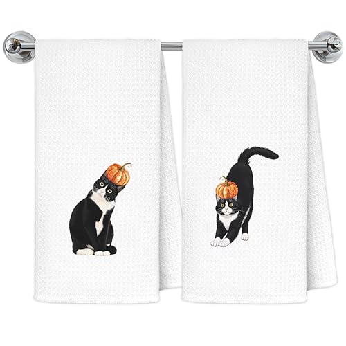 Fall Tuxedo Cat Pumpkin Hand Dish Towels Set of 2 - Halloween Kitchen Decor