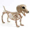 24-Inch Posable Dog Skeleton Halloween Decoration - Indoor Outdoor Spooky Prop