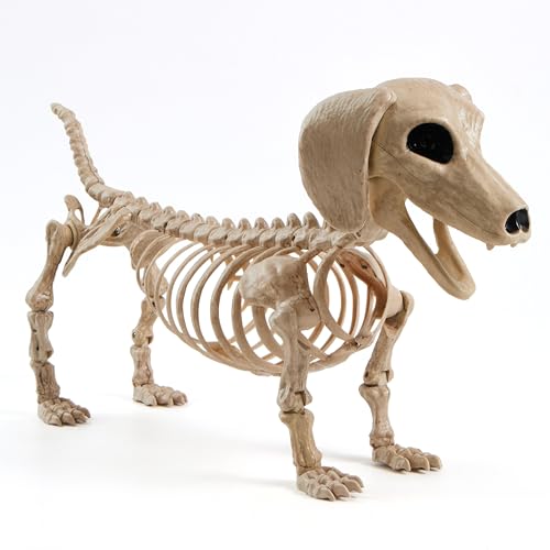 24-Inch Posable Dog Skeleton Halloween Decoration - Indoor Outdoor Spooky Prop