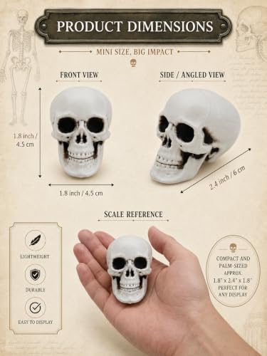 Mini Skull Halloween Decorations for Crafts & Party Decor - Set of 12