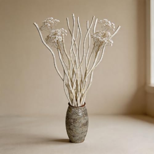 White Dried Curly Willow Branches - 15 Stems, 18-19 Inch Natural Birch Decor