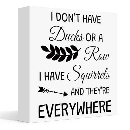 Funny Wooden Desk Sign - Squirrel Lover Office Decor Gift