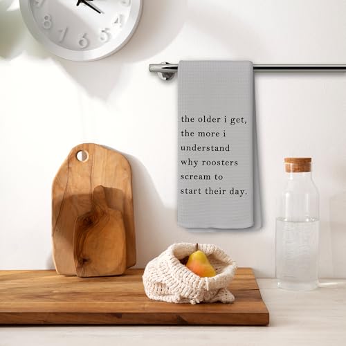 Funny Sarcastic Kitchen Towels - Hand Tea Dish Towel with Saying, Gray, 16x24, Variation: Funny-23