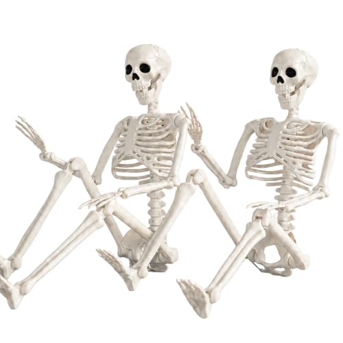 White Halloween Skeleton Decorations - 36 Inch Human Bones with Movable Joints - Haunted House, Lawn, Graveyard Props