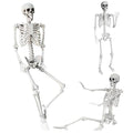 5.4Ft Halloween Skeleton with Movable Joints - Life Size Human Bones for Indoor Outdoor Decor