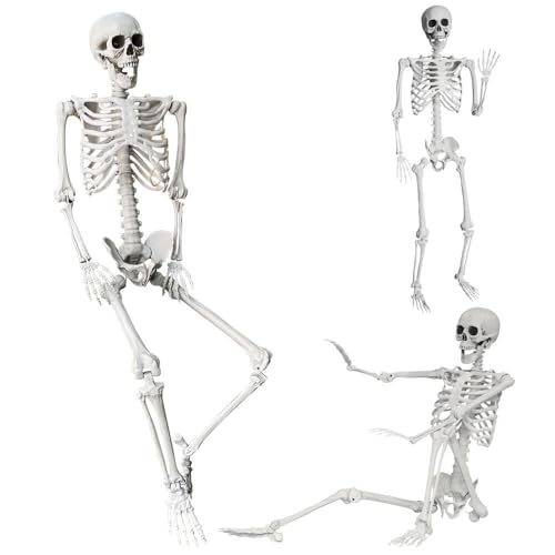 5.4Ft Halloween Skeleton with Movable Joints - Life Size Human Bones for Indoor Outdoor Decor
