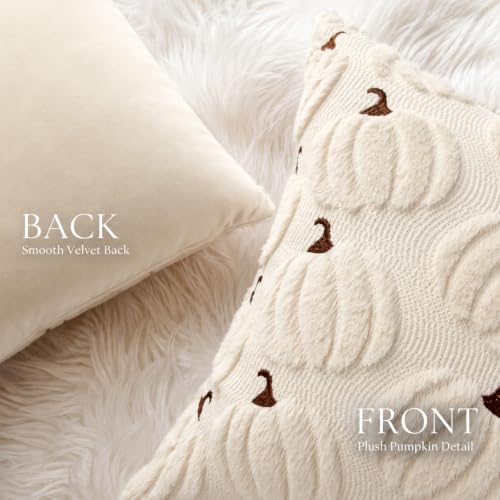 Beige Pumpkin Fall Pillow Covers 20x20 Set of 2 - Autumn Home Decor