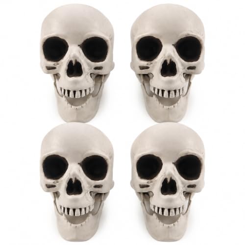 Halloween Skeleton Decor Set with 4 Plastic Skulls, Cobweb & 20 Spiders
