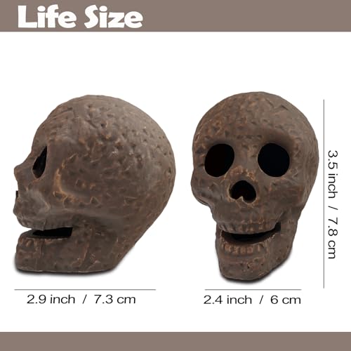 Light Brow 12 Pcs Fire Pit Skull Decor Reusable Ceramic Skeleton Heads for Halloween & Outdoor Fireplaces