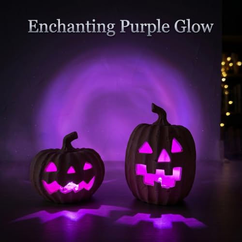 Orange Terracotta Jack-o’-Lantern LED Halloween Pumpkin Decor Set of 2